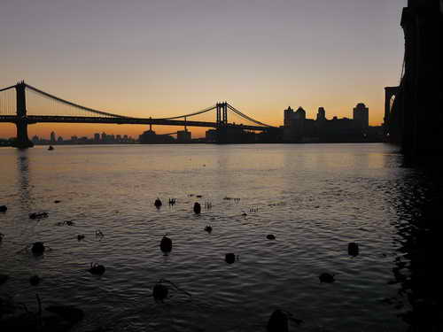 NYC_2012-11-23 06-44-57_P1070614